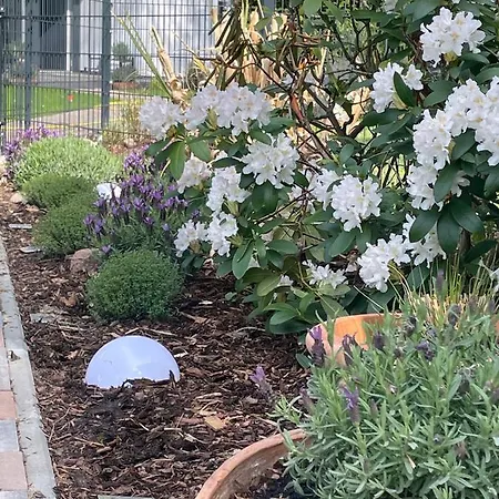 Bungalowpark Am Salzhaff Σπίτι διακοπών *